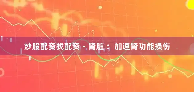 炒股配资找配资 - 肾脏 ：加速肾功能损伤