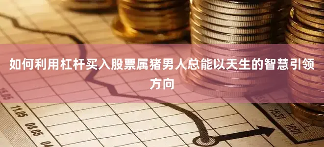 如何利用杠杆买入股票属猪男人总能以天生的智慧引领方向